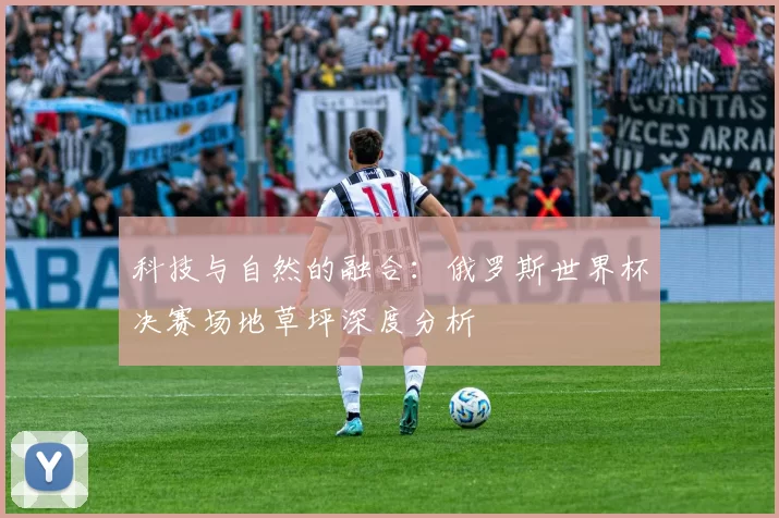 科技与自然的融合：俄罗斯世界杯决赛场地草坪深度分析