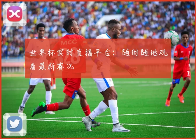 世界杯实时直播平台：随时随地观看最新赛况