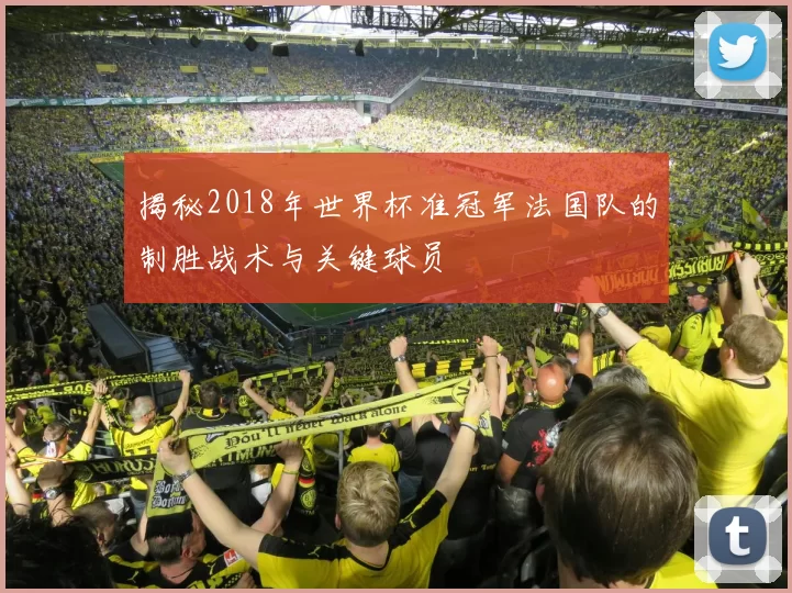 揭秘2018年世界杯准冠军法国队的制胜战术与关键球员