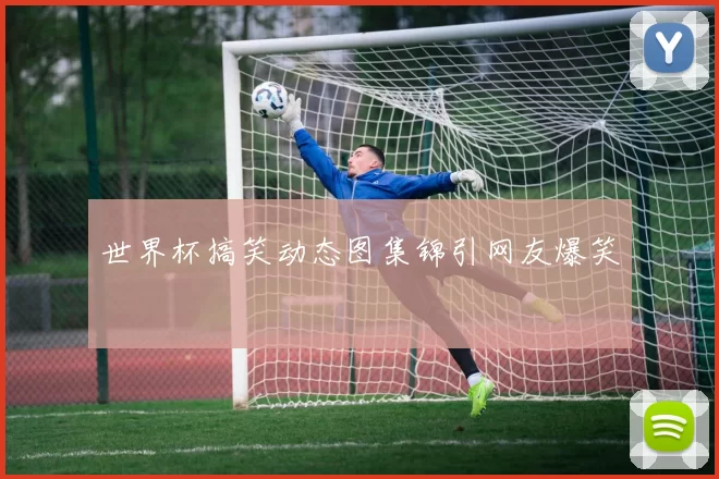 世界杯搞笑动态图集锦引网友爆笑