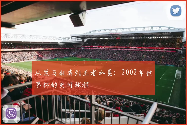 从黑马狂奔到王者加冕：2002年世界杯的史诗旅程