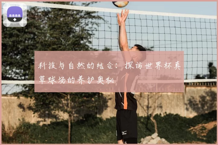科技与自然的结合：探访世界杯真草球场的养护奥秘
