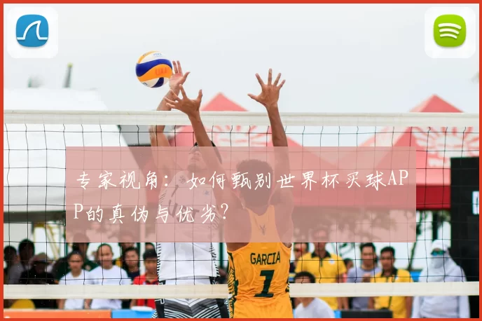 专家视角：如何甄别世界杯买球APP的真伪与优劣？