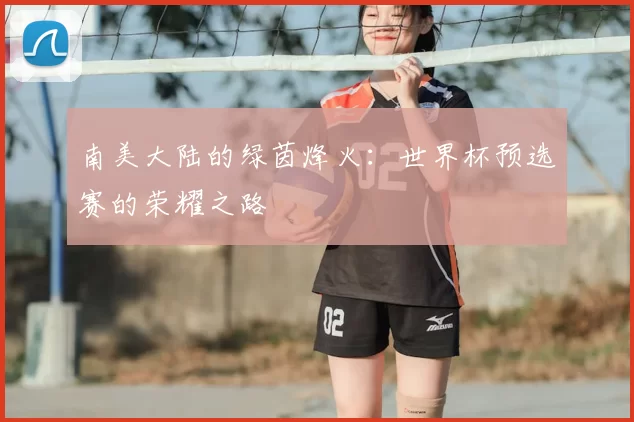 南美大陆的绿茵烽火：世界杯预选赛的荣耀之路