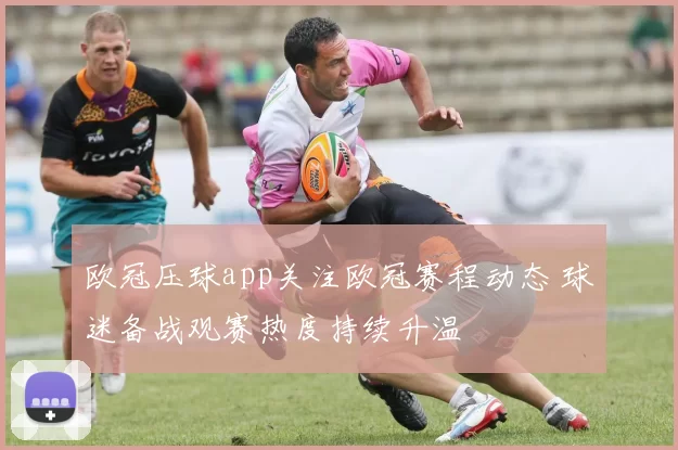 欧冠压球app关注欧冠赛程动态 球迷备战观赛热度持续升温