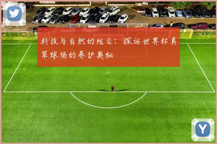 科技与自然的结合：探访世界杯真草球场的养护奥秘