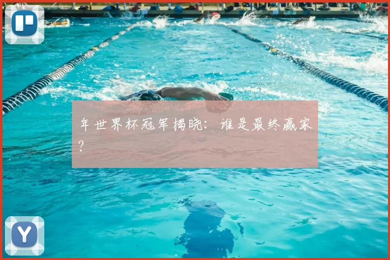 年世界杯冠军揭晓:谁是最终赢家?