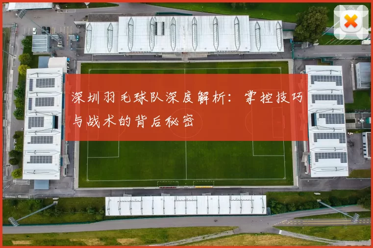 深圳羽毛球队深度解析：掌控技巧与战术的背后秘密