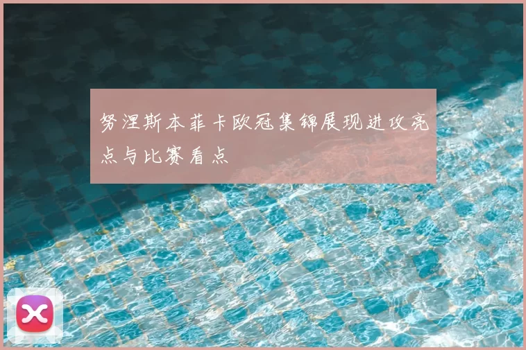 努涅斯本菲卡欧冠集锦展现进攻亮点与比赛看点