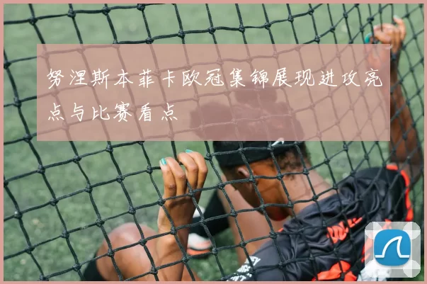 努涅斯本菲卡欧冠集锦展现进攻亮点与比赛看点