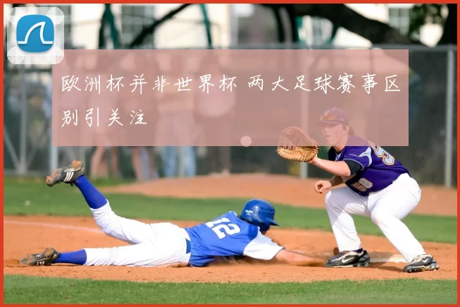 欧洲杯并非世界杯 两大足球赛事区别引关注