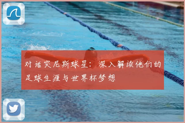 对话突尼斯球星：深入解读他们的足球生涯与世界杯梦想