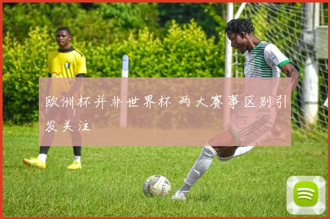 欧洲杯并非世界杯 两大赛事区别引发关注