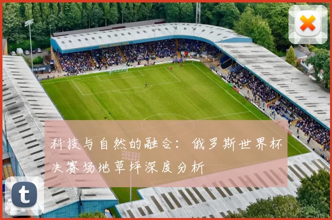 科技与自然的融合：俄罗斯世界杯决赛场地草坪深度分析