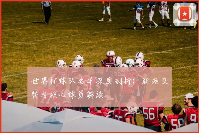 世界杯球队名单深度剖析：新老交替与核心球员解读