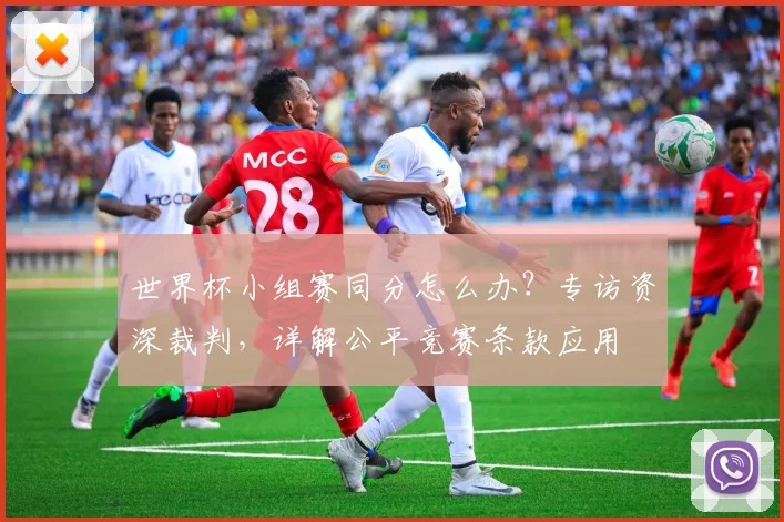 世界杯小组赛同分怎么办？专访资深裁判，详解公平竞赛条款应用